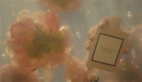 gucci bloom film|where to buy gucci bloom.